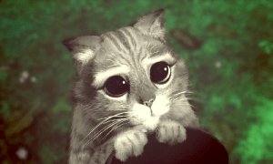 Snoopy, le Chat Potté